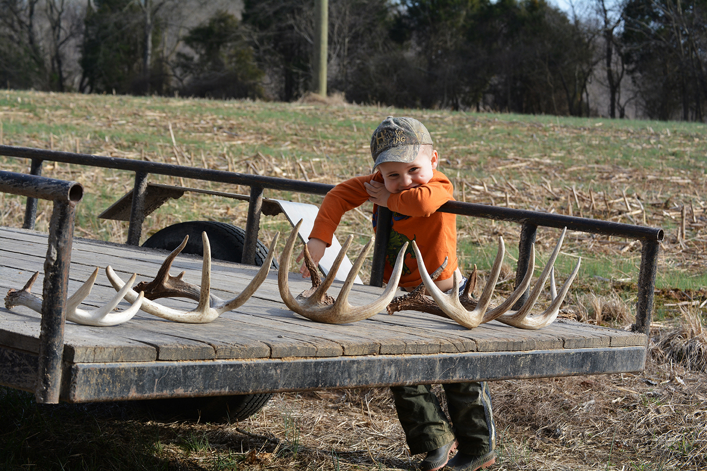 top-6-best-places-to-find-shed-antlers-muddy-outdoors